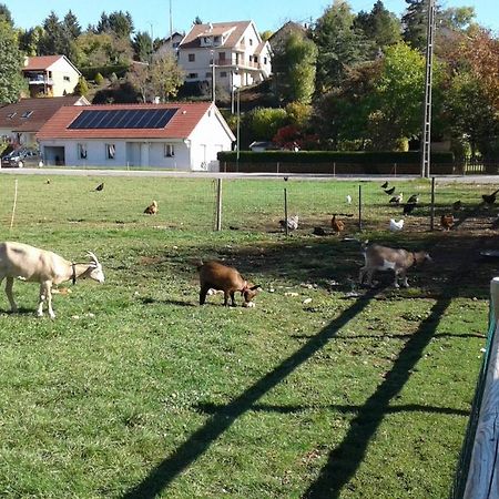 Chambre D'Hotes Des Poisets Crotenay Eksteriør bilde
